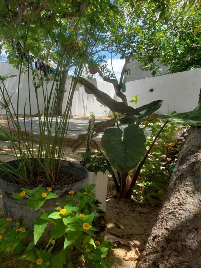 Casa Pipa Bg Hotel Barra Grande  Exterior foto